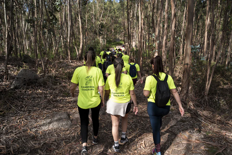 18ª Caminhada Concelhia de Famalicão vai explorar o património religioso e arqueológico do médio este